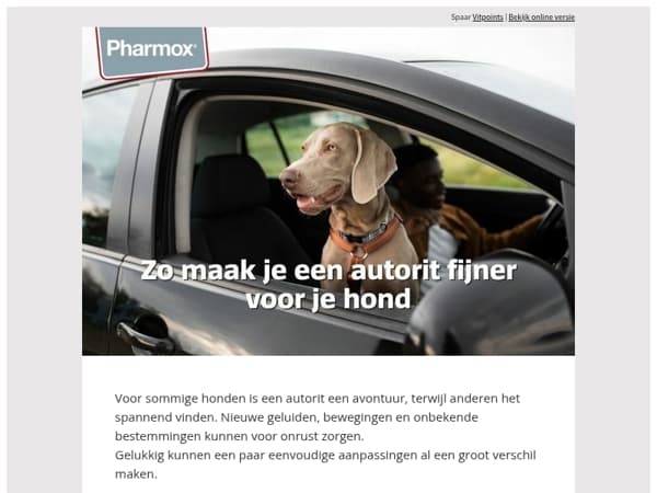 Zo maak je een autorit fijner voor je hond 🚗🐾