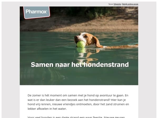 Samen naar het hondenstrand 🐾☀️