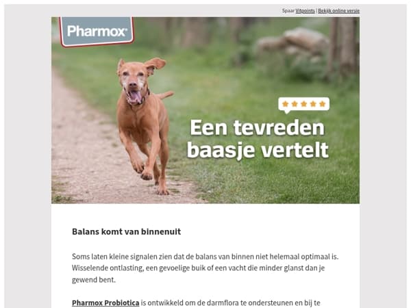 Zie jij deze signalen bij je hond?
