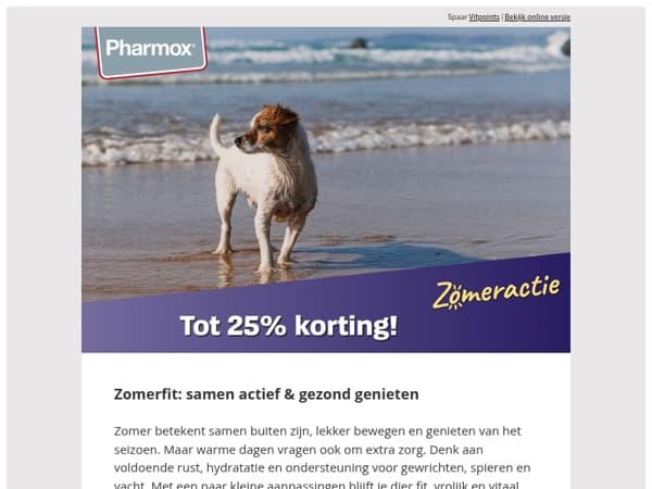 ☀️ Zomerse Energie & Vitaliteit 🐕 🐈