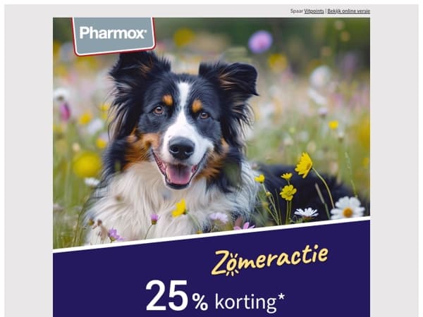 ☀️ 25% zomerkorting voor jouw viervoeter! 🐾