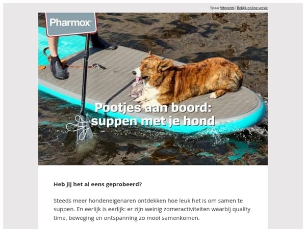 De leukste zomeractiviteit voor baas én hond 🐾