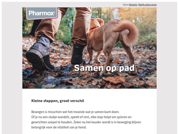 Samen in beweging, goed voor je hond én voor jou