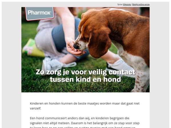 Hoe leer je je kind veilig omgaan met een hond? 🐾