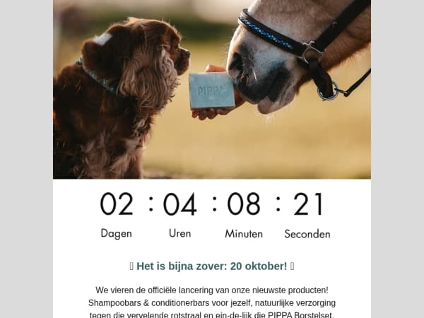 Het wachten is bijna voorbij…👀