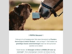 ✨  Ontmoet ons live, ontdek topdeals & leer alles over vachtverzorging! ✨