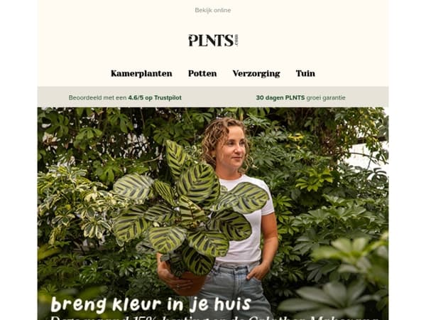 Een vleugje kleur voor in huis 🌈
