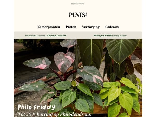 Philo Friday: tot 50% korting op Philodendrons 🌱