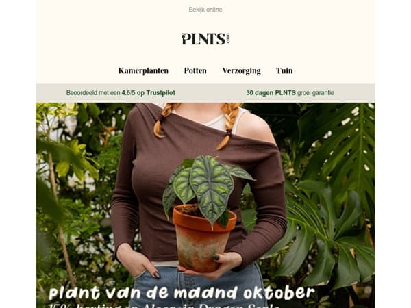 Ontdek de plant van de maand oktober 🐉🌿