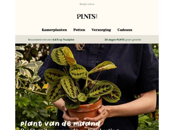 Ontmoet jouw nieuwe plant crush 🌱