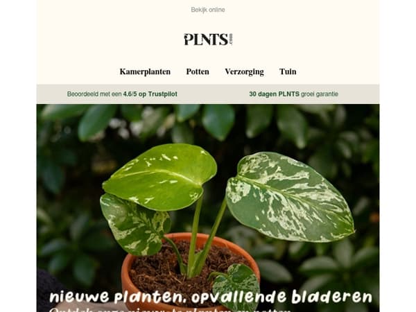 Twee nieuwe planten die je niet wilt missen 👀🌿