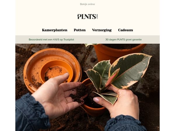 Ontdek onze nieuwste binnenkomers! 🌱