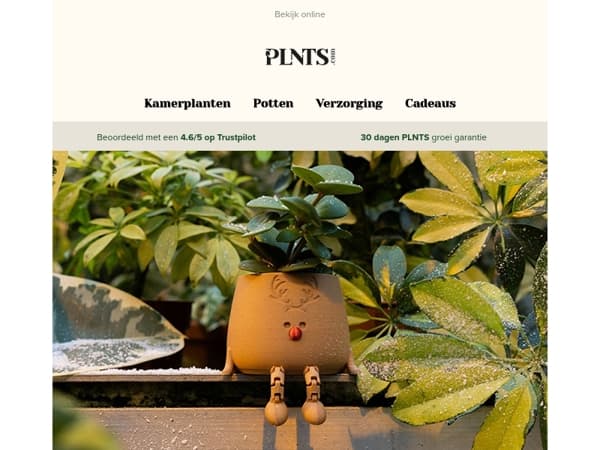 De laatste Advent verrassing is hier ✨