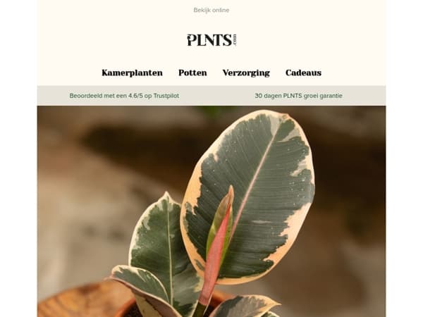 Groei meer, geef minder uit 🌱