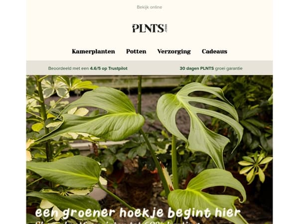 Zeldzame beauties, kleine prijzen 👀