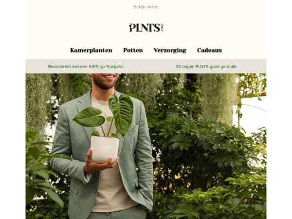 50% korting op Monstera Deliciosa Variegated, laatste kans! 🌱
