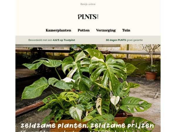 Zeldzame planten met tot 50% korting 🌿