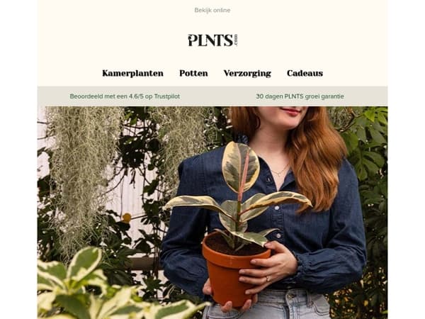 Zeldzame pareltjes komen er binnenkort aan... 🌱 