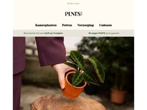 Nieuw binnen: Planten & Dahlia-knollen 🌱