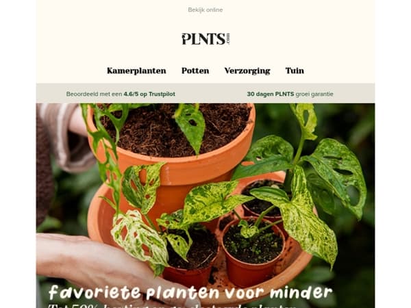 Tot 50% korting op jouw favoriete planten 💚