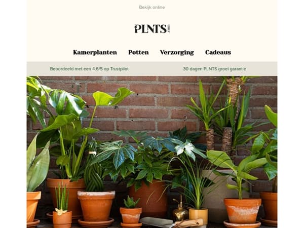 Tot wel 25% korting op planten die van zon houden ☀️🌱