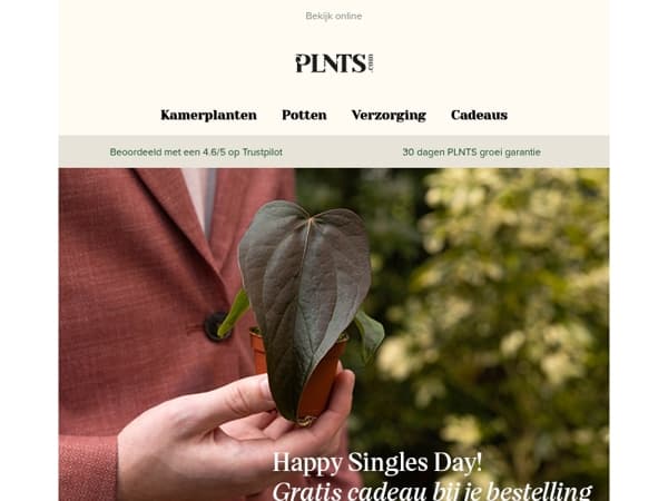 Gratis baby Anthurium Queen of Hearts roept jouw naam! 💚