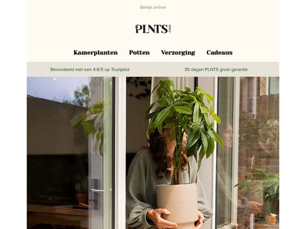 Groen nieuws: nieuwe binnenkomers & zonnige kortingen! 🌱