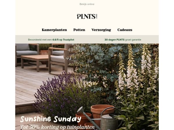Sunshine Sunday: tot 30% korting op tuinplanten 🌞