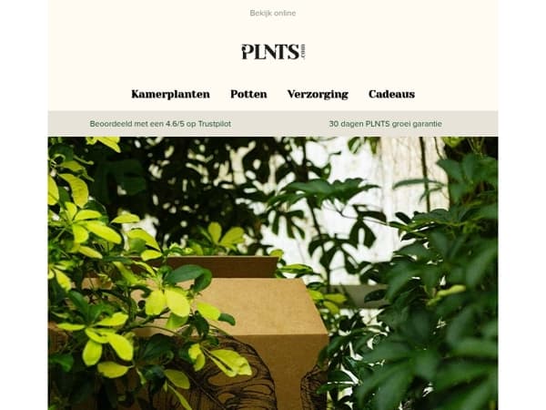 Sustainable Sunday: 30% korting op alle duurzame boxen! 🌱