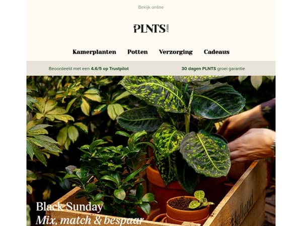 3 planten voor €49,95: Mix, match & bespaar! 🔥