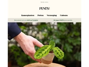 Ontdek wat er nieuw is: Groene nieuwkomers en exclusieve sale 🌱