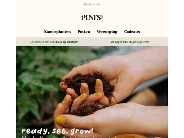 Het stekseizoen is begonnen 🌱 ready, set, grow!