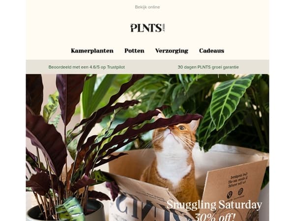 Snuggling Saturday = 30% korting op diervriendelijke planten 🐾 🌱