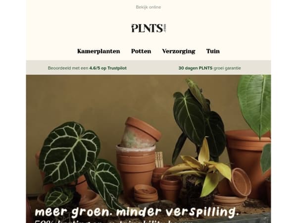 Nieuwe Dracaena's, stektips & 50% korting ♻️