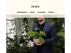 Upgrade je collectie – Nieuwe planten & potten! 🌱