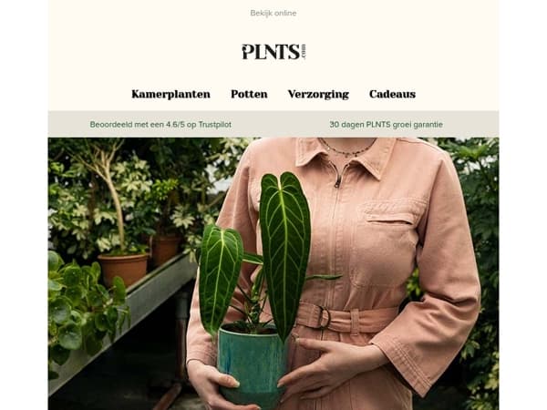 50% korting op échte verzamelplanten 💚🌱