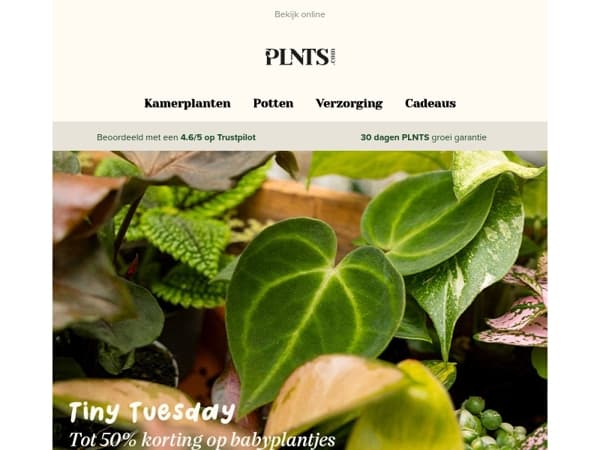 Tiny Tuesday: tot 50% korting op babyplantjes 🌱