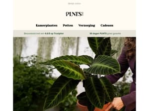 Geef je planten een upgrade, ontdek onze nieuwe potten 💚