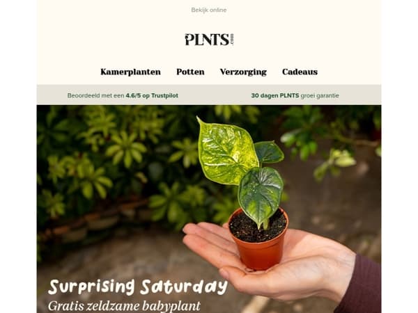 Surprising Saturday: Gratis zeldzame babyplant t.w.v. €100! 🤩
