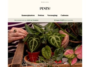 Laatste kans, de Valentijnsdag sale eindigt vandaag! 💚