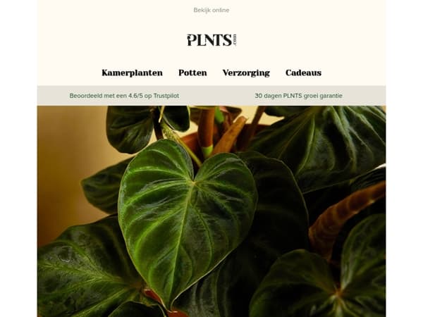 We hebben de prijzen teruggesnoeid, niet de bladeren 🌱