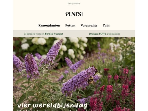 Wereld Bijendag: tuinfavorieten tot 25% korting 🐝