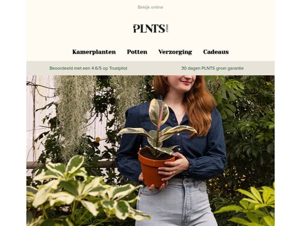 Jouw plantenplankje wilt deze variegated beauties! 🌱  