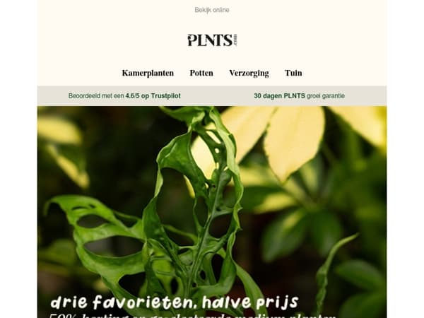 Drie plantenfavorieten, nu met 50% korting! 🌿