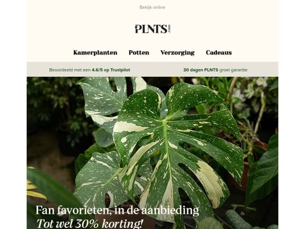 Zeldzame planten tot 30% korting 🌱💚