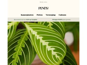 Langere dagen, groenere ruimtes, shop onze voorjaarsnieuwkomers! 🌱