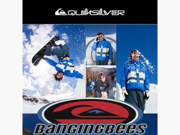Quiksilver x Banging Bees is er