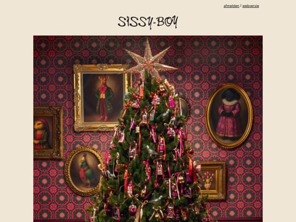 Laat je kerstboom stralen 🎄