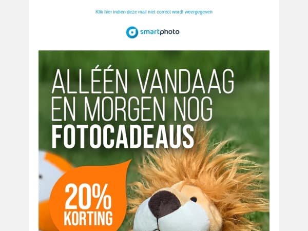 Hi, laat de leeuw niet in zijn hempie staan