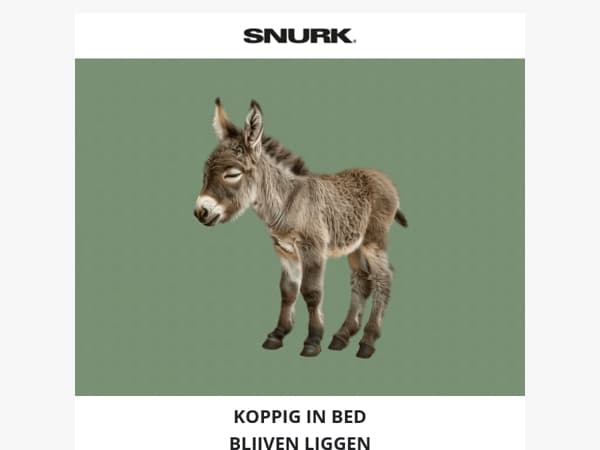 I-JAAA! Onze Donkeys-print is geland 🫏